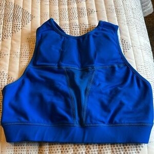 The Chestee Sports Bra
